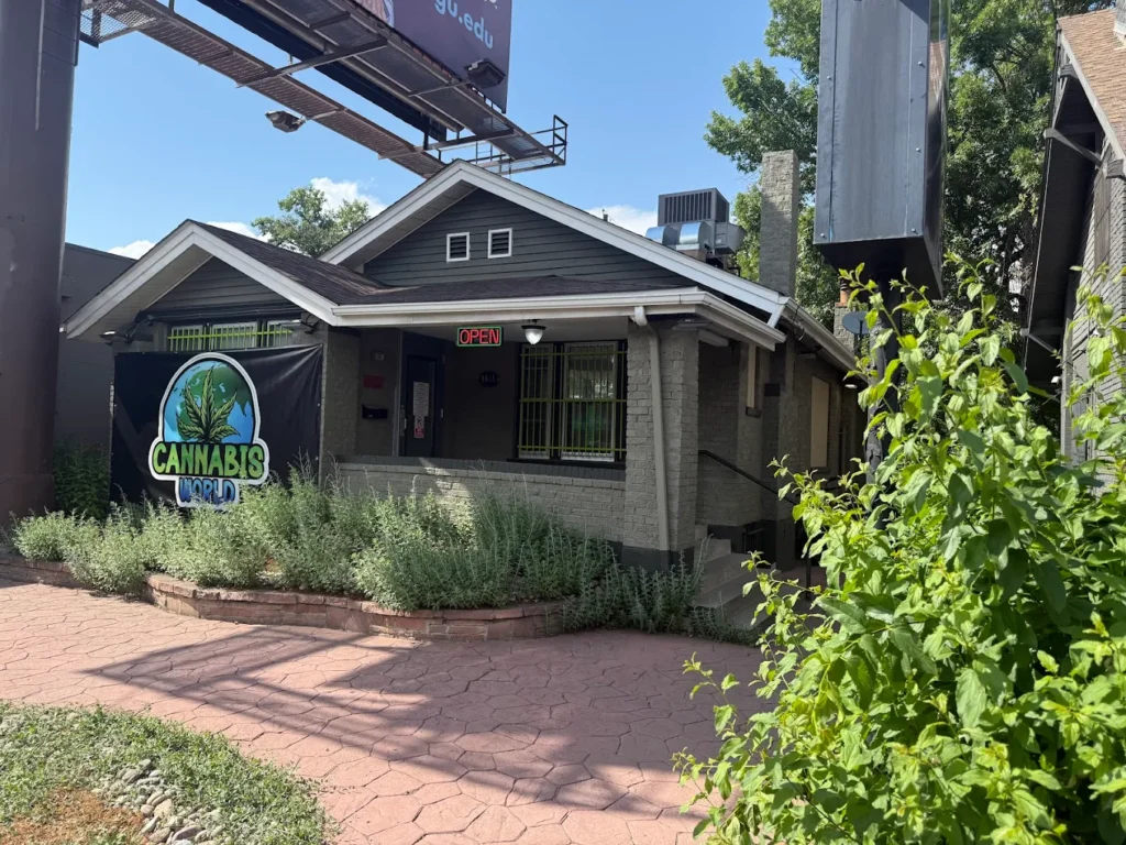 Indica vs Sativa Edible: What’s the Real Difference?