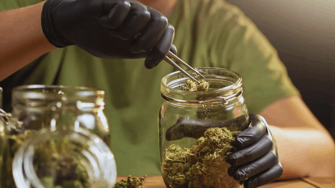 Does Pot Expire? How Long Weed Really Lasts & How to Store It