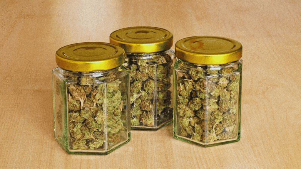 Cannabis Flower Shelf Life. Cannabis stored in glass jars.