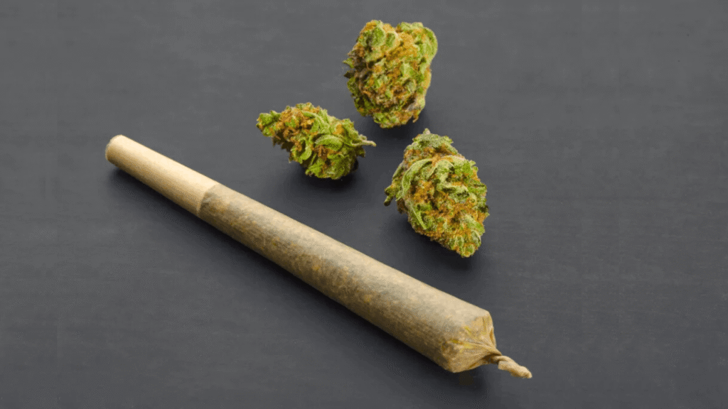 Pre rolled Joints on a dark surface.