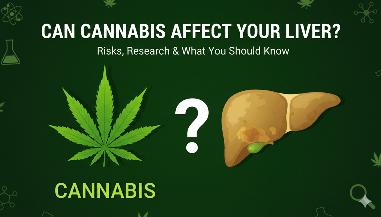 Can Cannabis Affect Your Liver? Risks, Research & What You Should Know