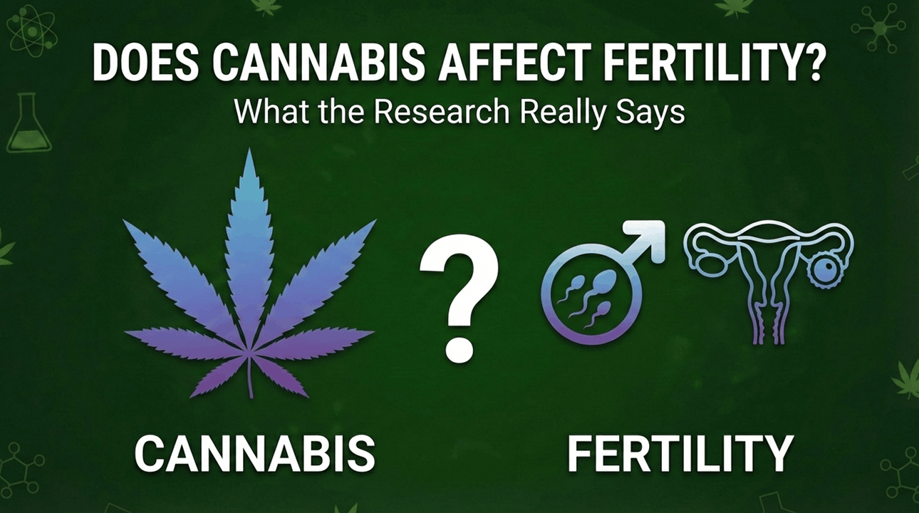 Does Cannabis Affect Fertility? What the Research Really Says