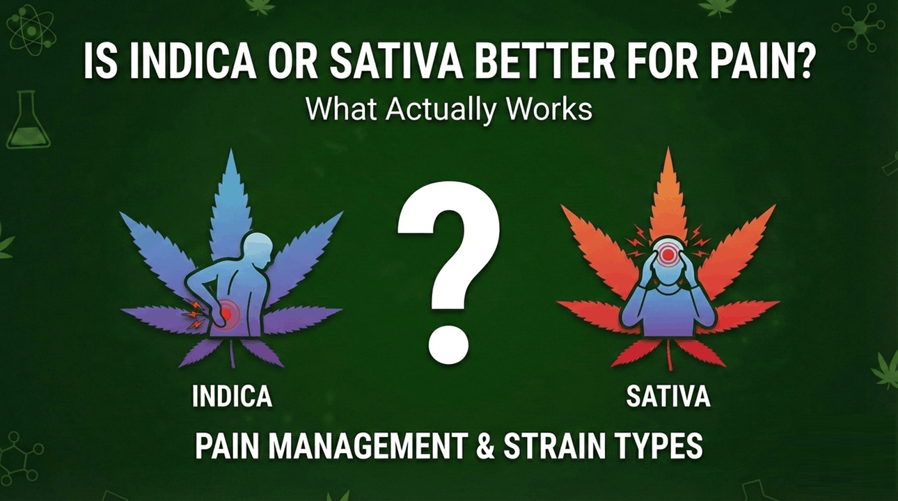 Is Indica or Sativa Better for Pain? What Actually Works