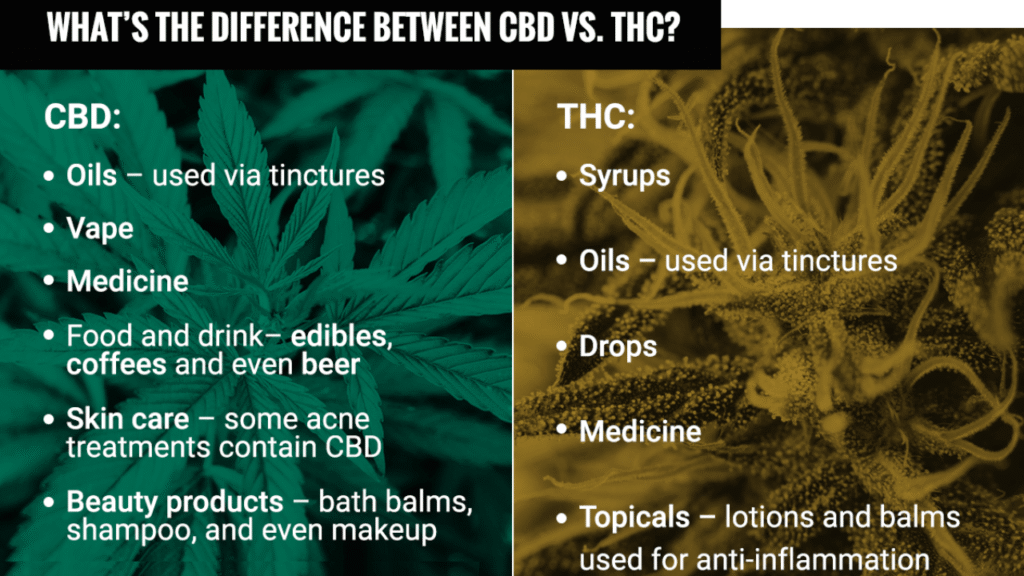 Does Cannabis Affect Fertility? What the Research Really Says