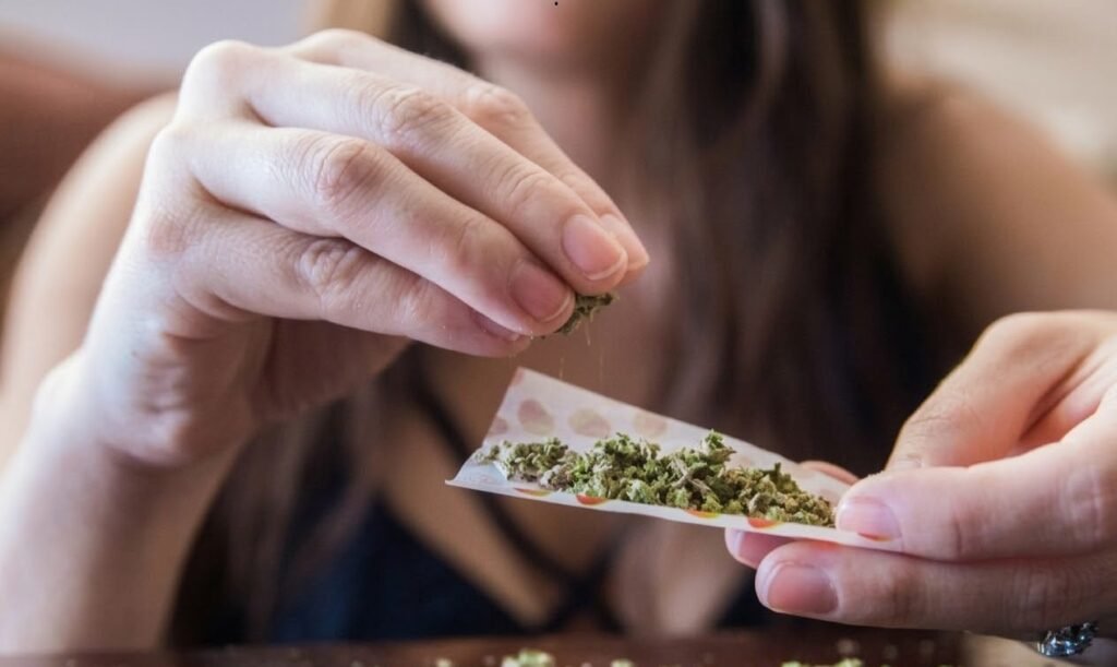  cannabis blunt rolling with ground weed